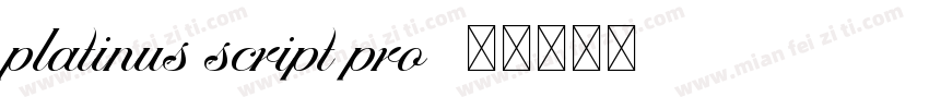 platinus script pro字体转换